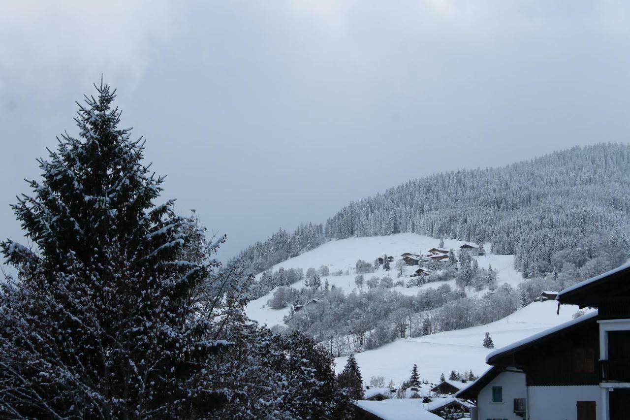 Chalet Des Pistes メジェーヴ エクステリア 写真